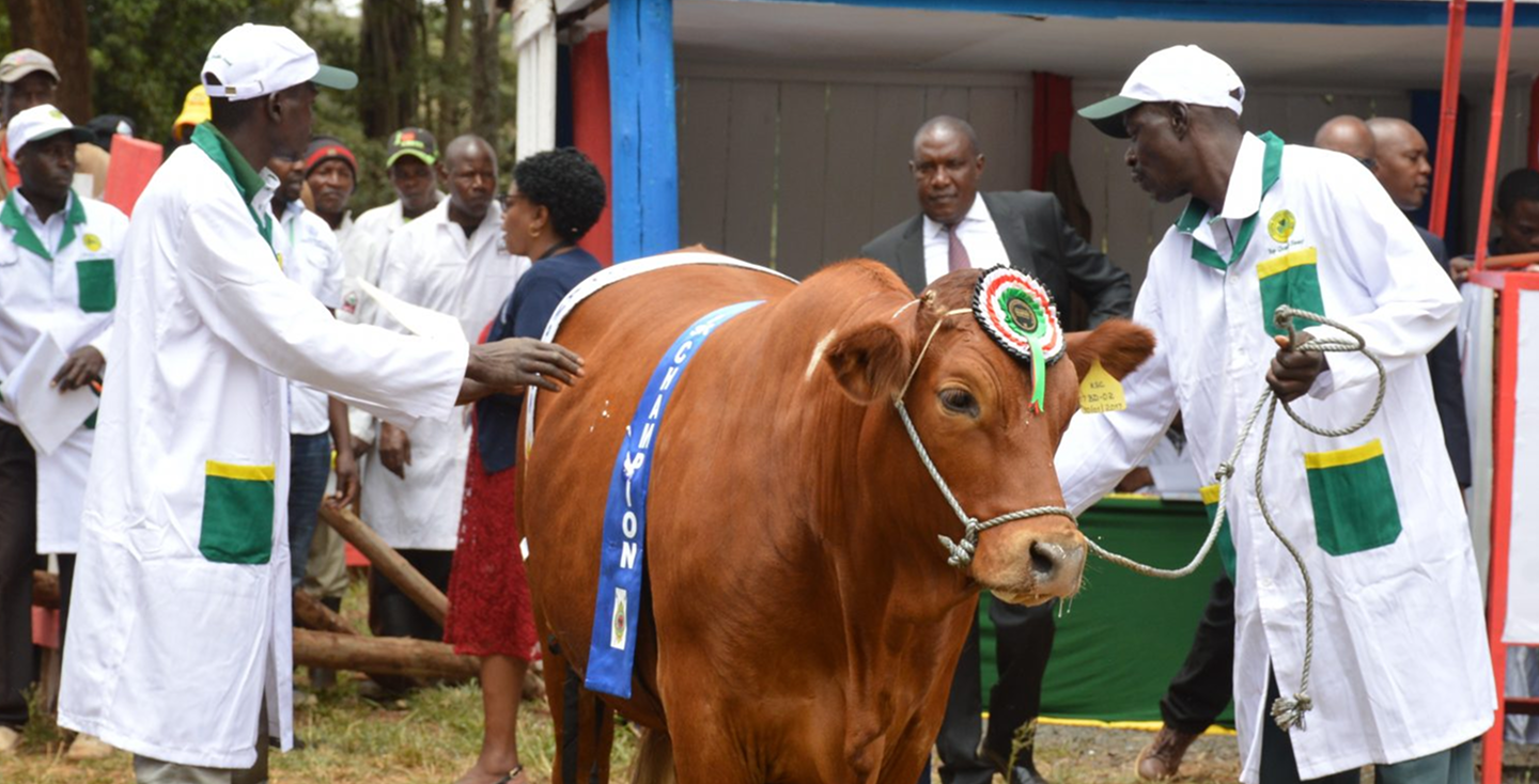 Kitui Expo Background